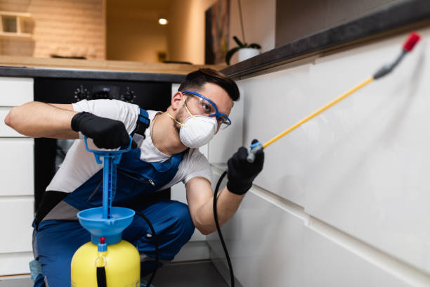 Best Best Pest Control Companies  in Edgemere, MD