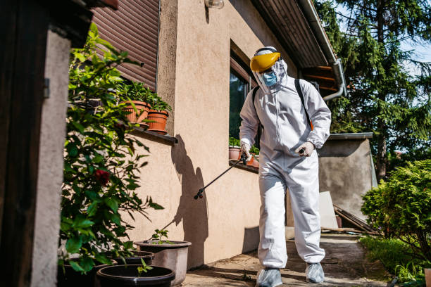 Edgemere, MD Pest Control Company