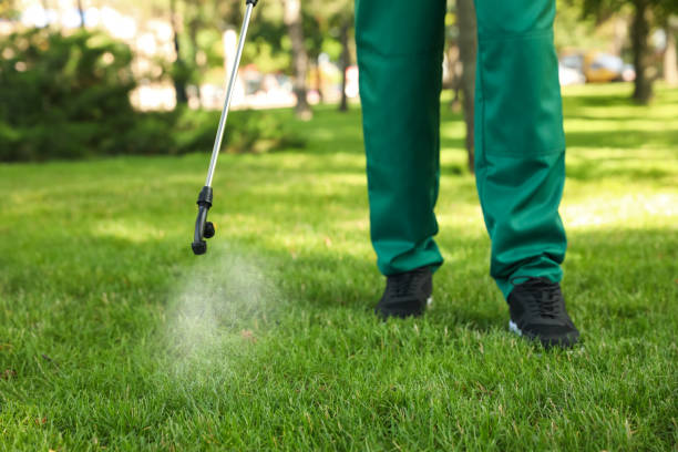 Best Insect Control  in Edgemere, MD