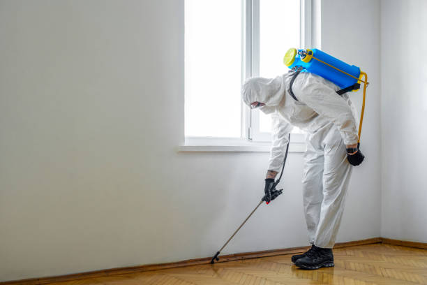 Best Affordable Pest Control Services  in Edgemere, MD