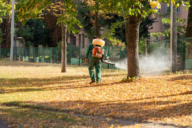 Best Emergency Pest Control  in Edgemere, MD