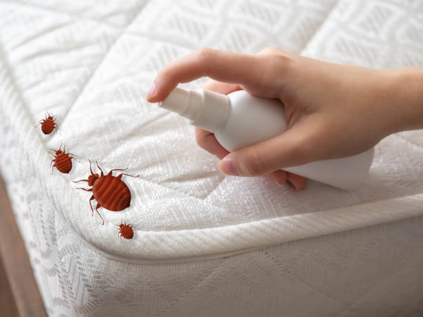 Pest Control Cost in Edgemere, MD